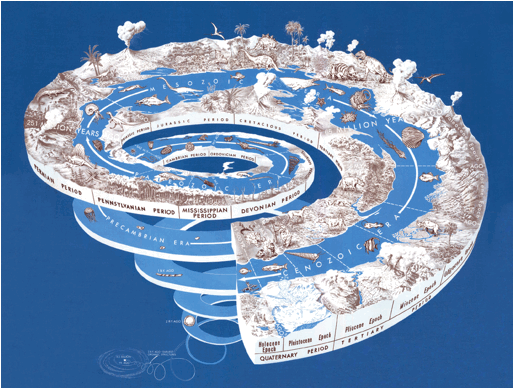 spirialing time line depicting fossil species in different time periods