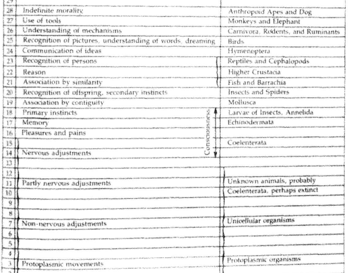 A table enumerating consciousness. 28; Indefinite morality; Anthropoid Apes and Dog. 27; Use of tools; Monkeys and Elephant. 26; Understanding of mechanisms; Carnivora, Rodents, and Ruminants. 25; Recognition of pictures, understanding of words, dreaming; Birds. 23; Recognition of persons; Reptiles and Cephalopods. 22; Reason; Higher Crustacea. 21; Associattion by similarity; Fish and Barrachia. 20; Recognition of offspring, secondary instincts; Insects and Spiders. 19, Association by contiguity, Mollusca. 18, Primary instincts, Larvae of INsects, Annelida. 17, Memory, Echinodermata. 16, Pleasures and pains. 15, Coelenterata. 15. 12. 11, Partly nervous adjustments, Unknow animals, probably Coelenterata, perhaps extinct. 10. 9. 8. 7, Non-nervous adjustments, Unicellualar organisms. 6. 5. 4. 3, Protoplasmic movements, Protoplasmic organisms.