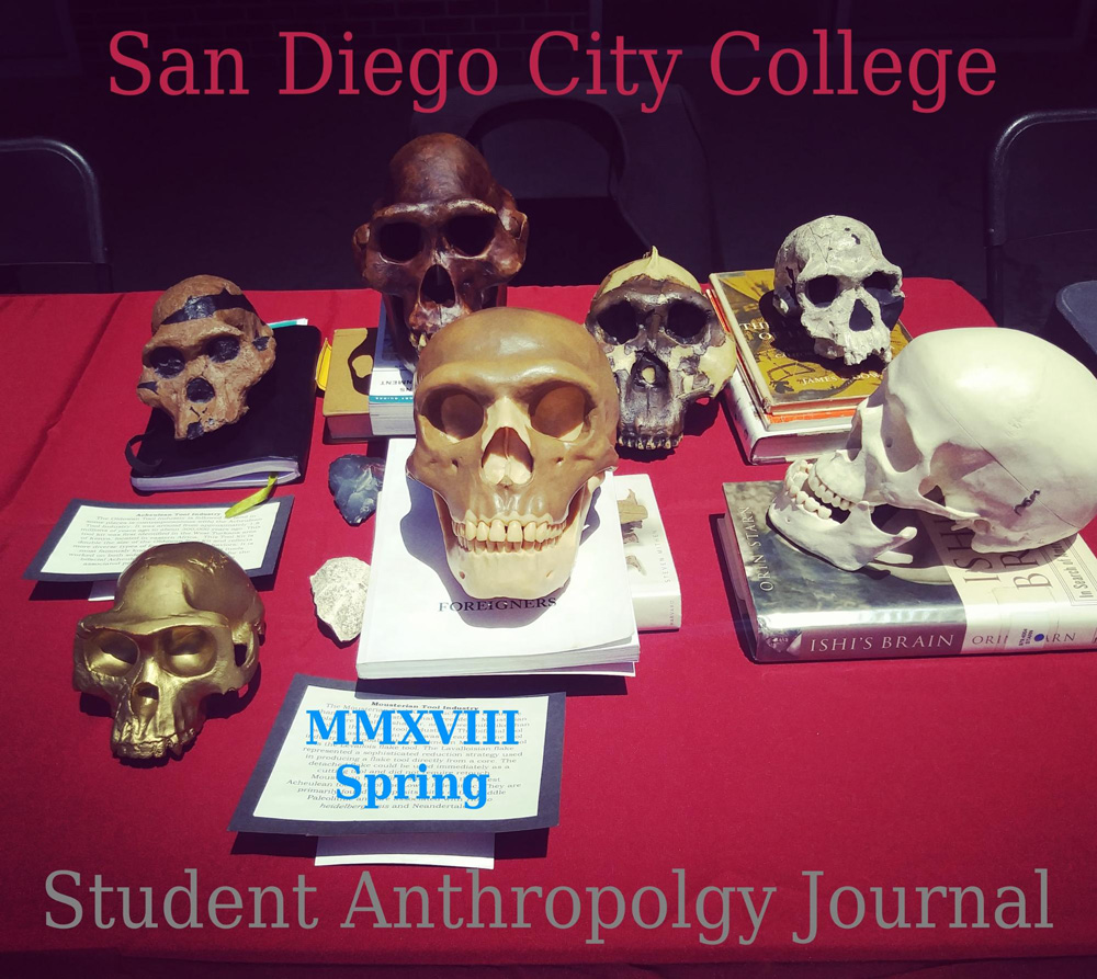 San Diego City College, MMXVIII Spring, Student Anthropology Journal. Cover photo of hominin skulls on books on a display table.