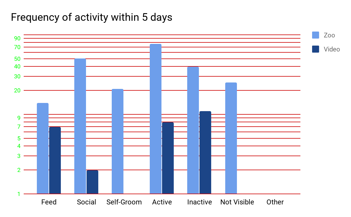 Table comparing the frequency of activity within 5 days between the Zoo and Video. Feed: Zoo = 10, Video = 7. Social: Zoo = 50, Video = 2. Self-Groom: Zoo = 20. Active: Zoo = 75, Video = 8. Inactive: Zoo = 40, Video = 10. Not Visible: Zoo = 25.