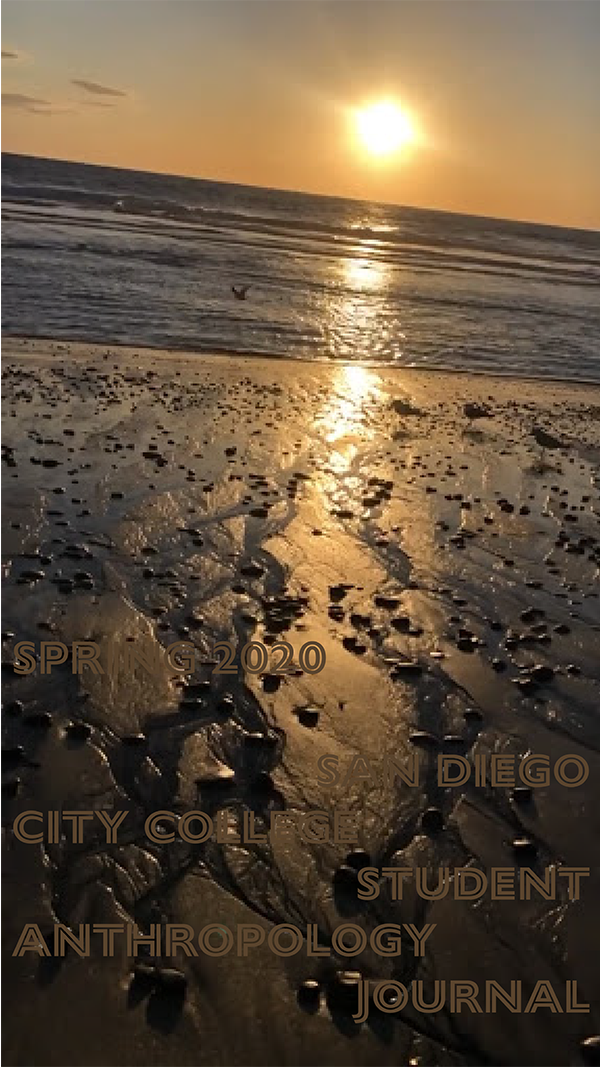 Spring 2020 San Diego City College Student Anthropology Journal. Photo of a sunset at the beach with interconnecting  channels in the sand as the water returns to the ocean