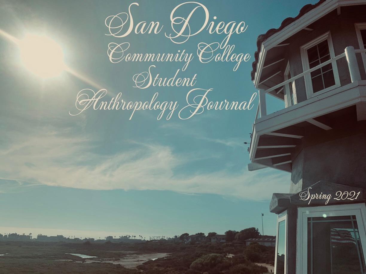 a photo of a beach tower in Mission Bay with wetlands in the foreground, houses and palm trees in the horizon, a bright sun, with the journal title in a script font.