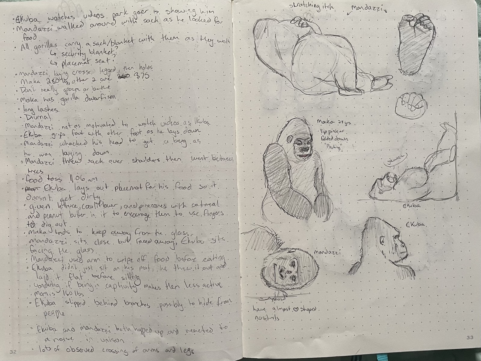 hand written notes and sketches